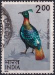 Obrázek k výrobku 43644 - 1975, Indie, 0627, Ptáci: Tragopan melanocephalus ⊙
