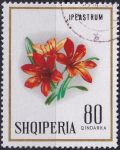 Obrázek k výrobku 44134 - 1968, Albánie, 1280, Květiny: Sinningia hybr. ⊙