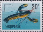 Obrázek k výrobku 44138 - 1968, Albánie, 1299, Mořská zvířata: Loligo vulgaris ⊙