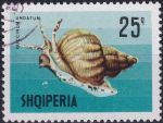 Obrázek k výrobku 44139 - 1968, Albánie, 1300, Mořská zvířata: Astacus gammarus ⊙