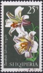 Obrázek k výrobku 44149 - 1969, Albánie, 1365, Květy stromů: Prunus cerasius ⊙