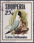 Obrázek k výrobku 45251 - 1973, Albánie, 1621, Mořští ptáci: Childonias leucopterus ⊙