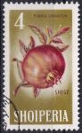 Obrázek k výrobku 46837 - 1965, Albánie, 0914, Ovoce: Diospyros kaki ⊙