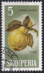 Obrázek k výrobku 46838 - 1965, Albánie, 0915, Ovoce: Punica granatum ⊙