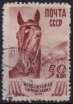 Obrázek k výrobku 47321 - 1939, SSSR, 0705Arv, Všesvazová zemědělská výstava: Chov koní ⊙
