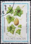 Obrázek k výrobku 49008 - 1983, Svatý Tomáš a Princův ostrov, 0861, Léčivé rostliny: Cymbopogon citratus ⊙