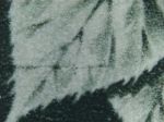 Obrázek k výrobku 49798 - 1945, ČSR II, 0374DV, Výplatní známka: Lipová ratolest ✶✶