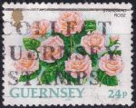 Obrázek k výrobku 50882 - 1993, Guernsey, 0599A, Výplatní známka: Květiny - Hydrangea hortensis ⊙
