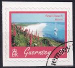 Obrázek k výrobku 50890 - 1992, Guernsey, 0561A, Výplatní známka: Květiny - Karafiáty ⊙