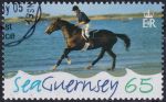Obrázek k výrobku 51574 - 2005, Guernsey, 1056, Moře: Rybář u Albecqu ⊙ 