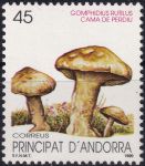 Obrázek k výrobku 53454 - 1989, Andorra (Španělská pošta), 0213, Vánoce ✶✶